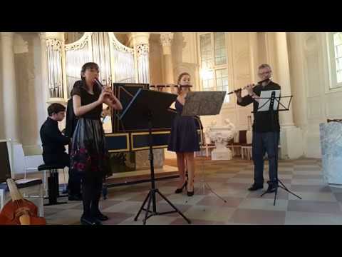 G. P. Telemann: Quartett d-moll aus "Tafelmusik" für Blockflöte, zwei Traversi und B.c.