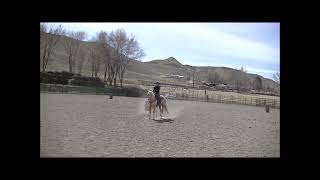 Video 1