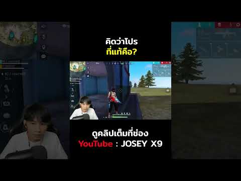 ฟีฟาย