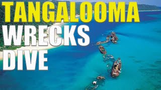 Scuba Diving The TANGALOOMA WRECKS Of Moreton Island 🇦🇺