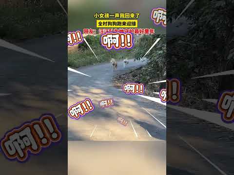 小女孩回到村里，一声“我回来啦”，全村狗狗立马顺着声音方向跑来迎接。网友：汪汪队为她守护最好童年。#与少年同行 #萌娃 #可爱 #搞笑 #日常 #baby #cute