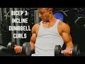 Biceps: Incline Dumbbell Curl