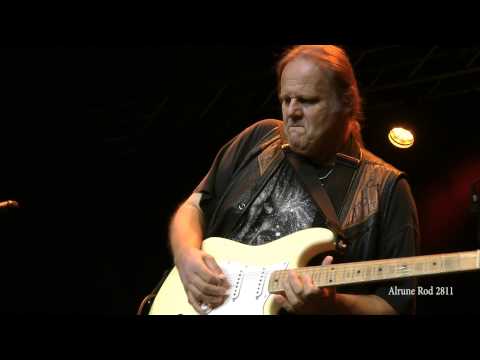 Walter Trout - Life in the Jungle (2012)