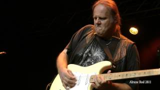 Walter Trout - Life in the Jungle (2012)