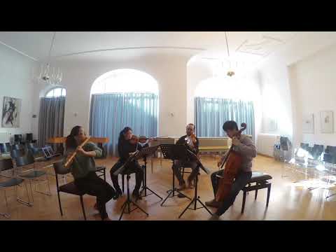 Giuseppe Maria Cambini - Quatuor a-Moll T.147