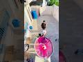 The Drop Everyone Was Waiting For ️ Catchbattle
