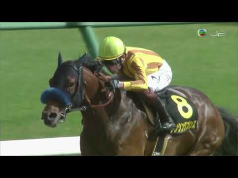 2021 Keiyo Stakes (Listed) - Dancing Prince (舞林驕子) - K.Miura