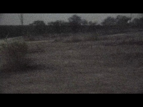 Djuma Private Game Reserve Live Stream