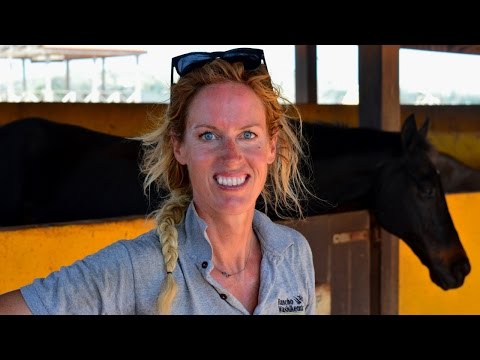 , title : 'Vlog: Zwemmen met paarden op Bonaire'