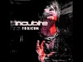 Incubite - Blasphemie 