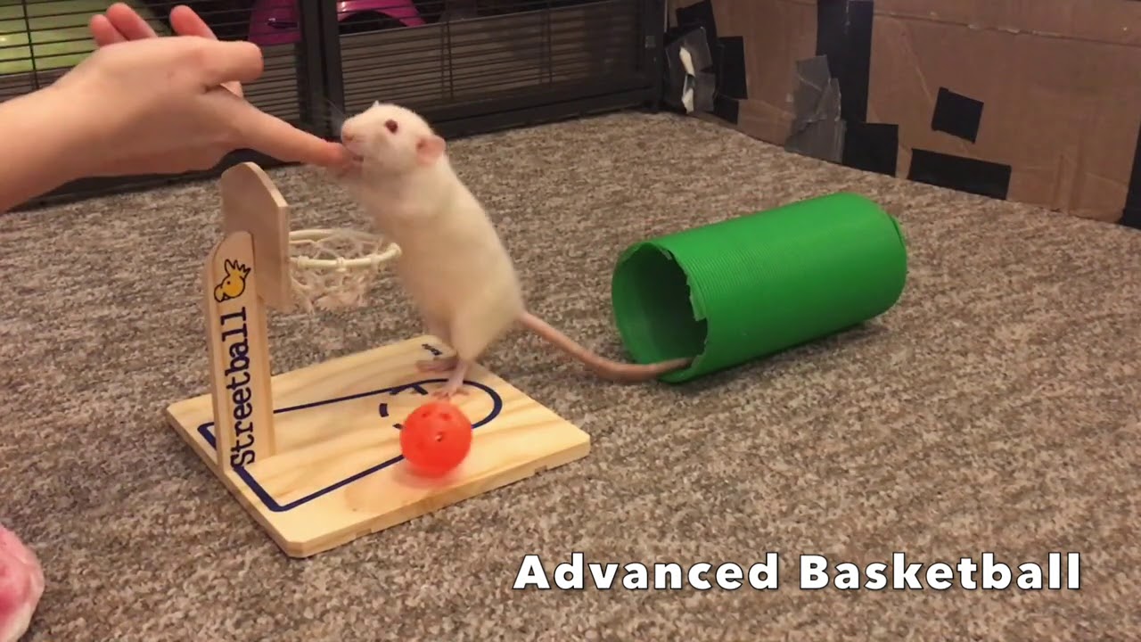 YouTube video preview