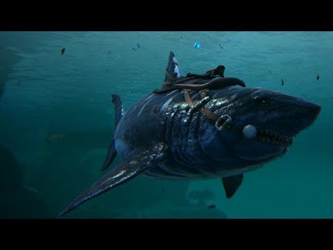 HIGH LEVEL X-MEGALODON TAMING - A GOOD OCEAN MOUNT | ARK: Survival Evolved S1-BEP132