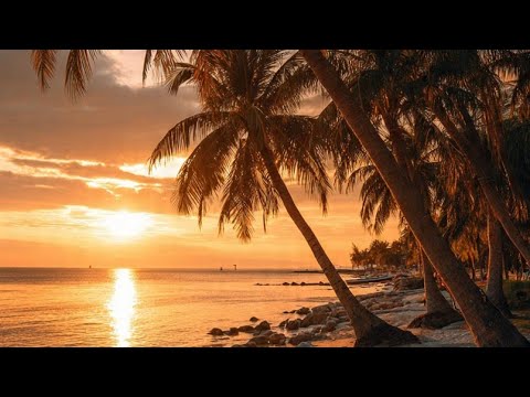 4K Cinematic Beach Escape • Sunrise to Sunny Shores • Relaxing Music & Ocean Waves