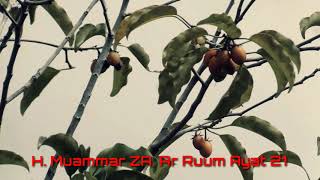 Download lagu SUARA INDAH H MUAMMAR ZA QUR'AN SURAT AR RUUM AYAT 21 mp3
