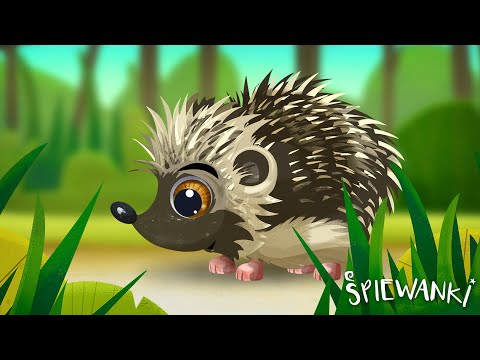 JEŻYK  – Śpiewanki.tv - Piosenki dla dzieci