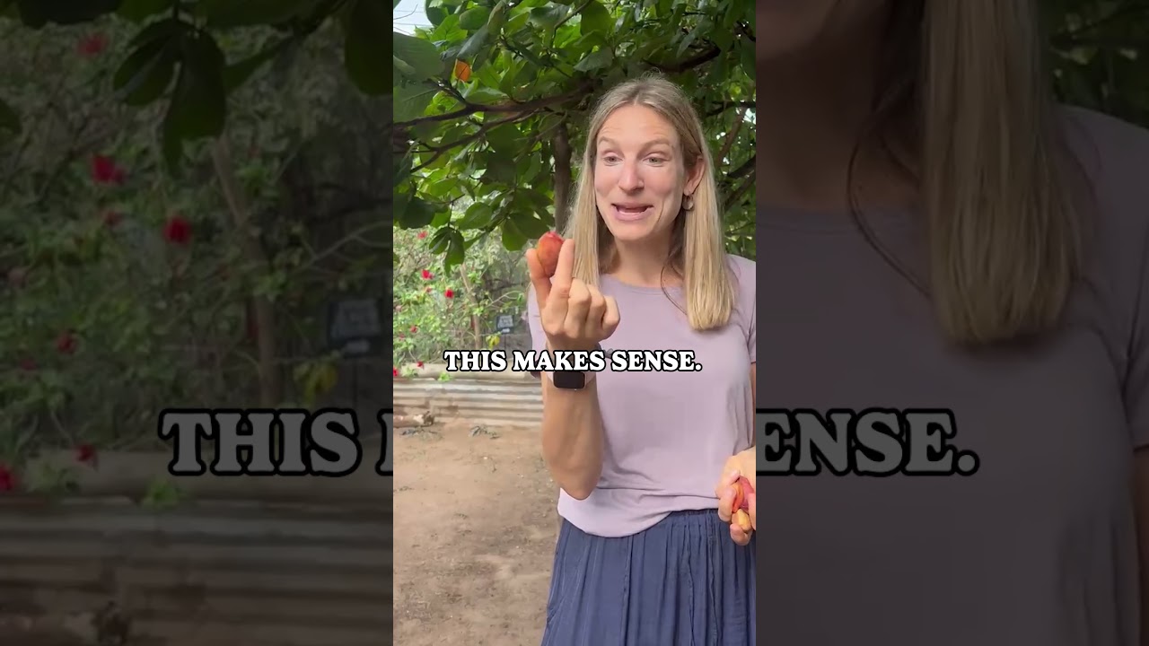 The Fascinating Process of Almond Harvesting!