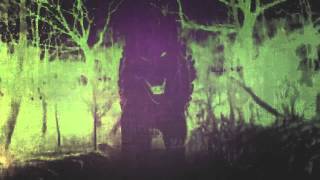 Crystal Fighters - Swallow (With Lyrics)