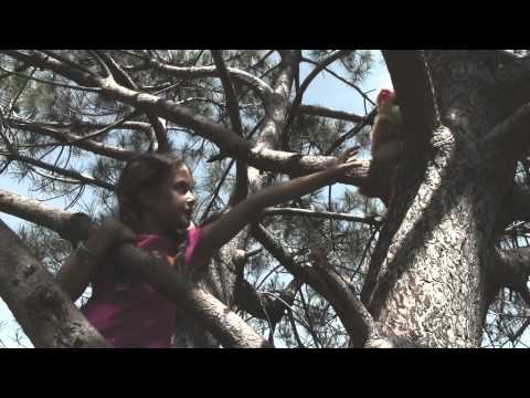 Sidewalk Copettes Episode 2: The Lost Kitty Cat