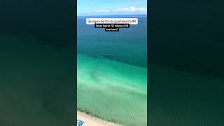 COFFEE AT PORSCHE DESIGN TOWER #lambo #lamborghinni #murcielago #aventador #ford #eleanor #mustang