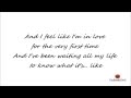 Laura Brehm - Fall in Love lyrics (dubstep) 