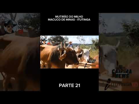 MUTIRÃO DO MILHO MACUCO DE MINAS - ITUTINGA