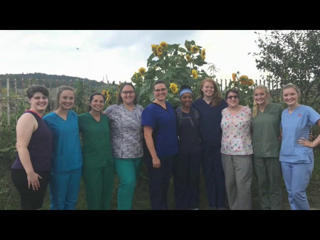 Thumbnail for video titled: Romania Pharmacy Trip