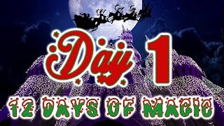 The Countdown to Christmas Begins! 🎅 Day 1 | 12 Days of Magic