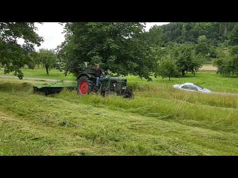 Heute 2020 letzte kleine Heuwiese mit neuen Einlagegewicht