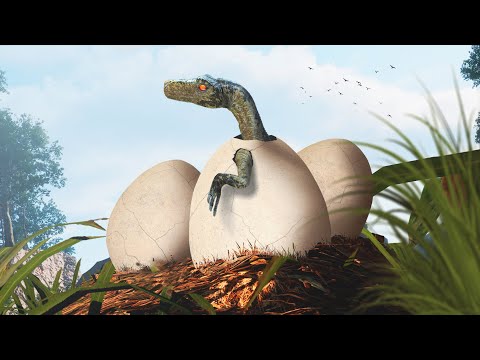 Hatchling Herra to Treetop Terror