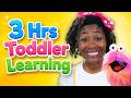 3 Hours Of Toddler Learning Open Shut Them ABCs Colors Animals Kids Songs BB Friends