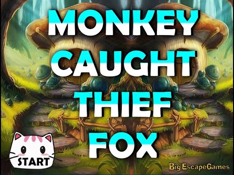 monkey caught thief fox video walkthrough
