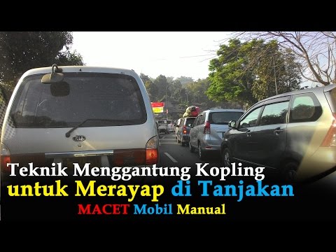 Ulasan Reduxine dari dokter Yang tidak membantu Reduxine 10 mg