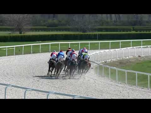 2018.04.08. 3. futam - SEIDEL ISTVÁN EMLÉKVERSENY HENDIKEP (III.o.) (szintetikus pálya)