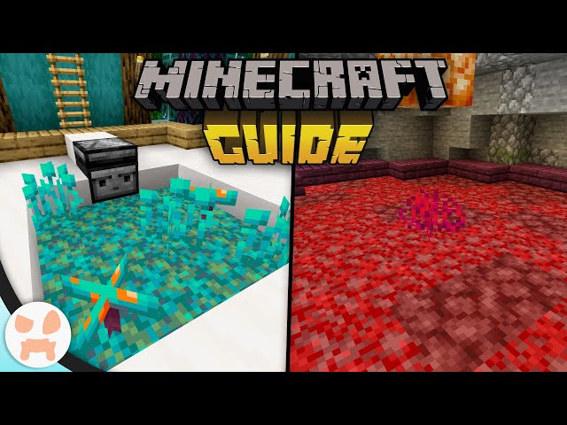 Everything You Need To Know everything-you-need-to-know