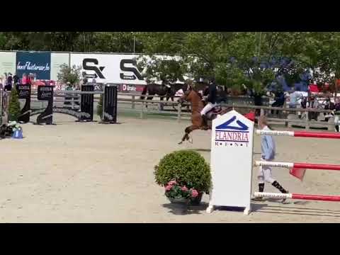 CSI3* Lier - Kevin Staut & For Joy van't Zorgvliet*HDC - Grand Prix 1.50m - 2020