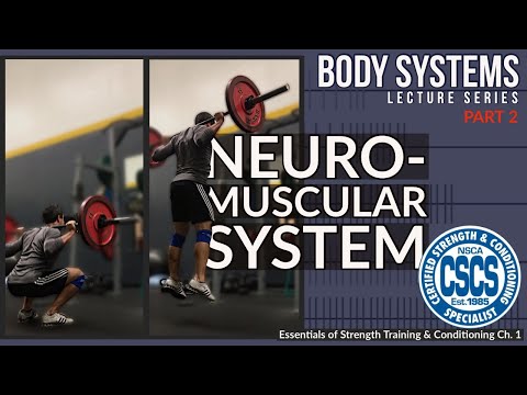 Neuromuscular System - Rate Coding, Motor Units, & Fiber Types | CSCS Chapter 1