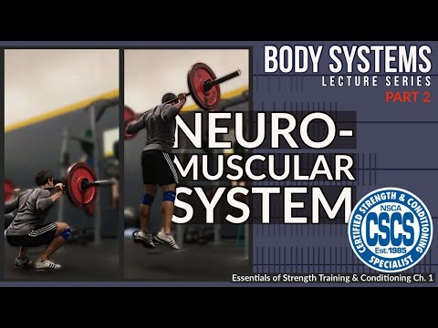Neuromuscular System - Rate Coding, Motor Units, & Fiber Types | CSCS Chapter 1 thumbnail