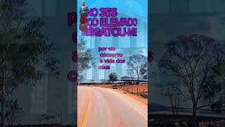 Hino 356 ccb terc verso | O Sangue precioso e imaculado | #joaootaviorufino