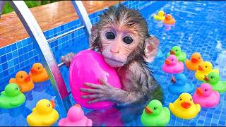 Download lagu Monkey Baby Bon Bon dreams of puppy eating so yummy fruit and ducklings swimming in the pool mp3