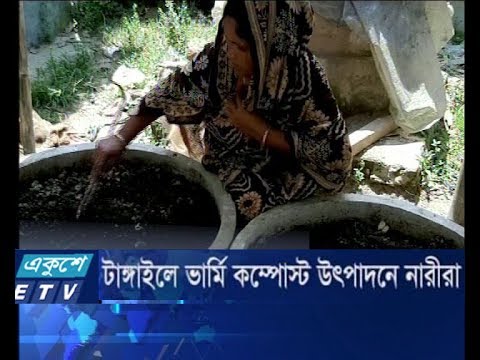 টাঙ্গাইলে ভার্মি কম্পোস্ট উৎপাদনে নারীরা