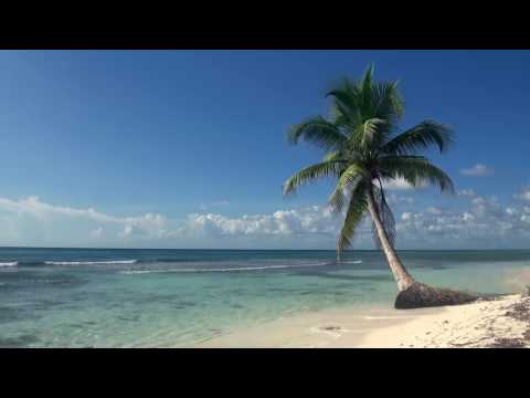 BRUNO KAUFFMANN FEAT AMRICK CHANNA "SET IT OFF" EPRIDE MUSIC