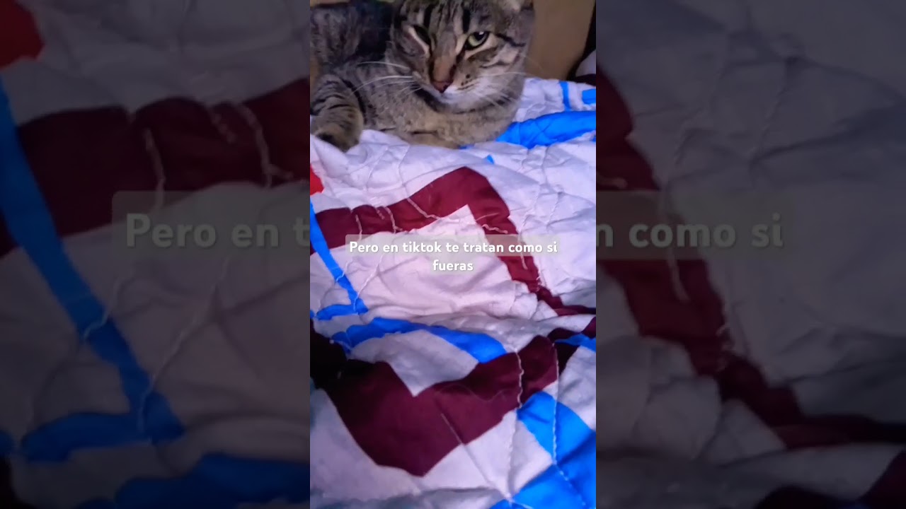 La triste realidad 😔