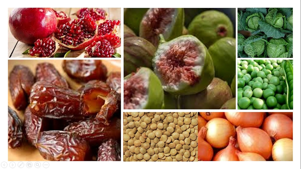 Alimentação na idade antiga