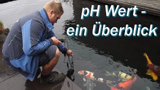 pH-Wert im Teich Blog 29