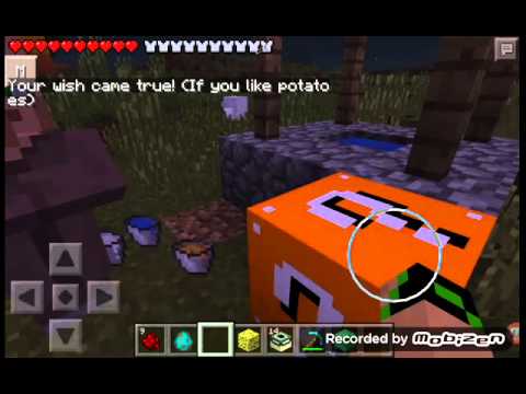 Cater killer challenge games