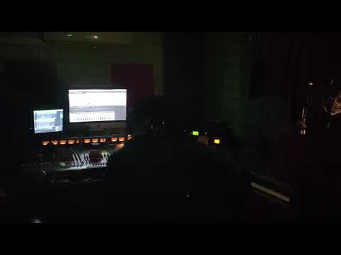 WŚCIEKŁE DZIKI ATAKUJĄ NA CHOJNACH! *Zobacz film jak niszczą