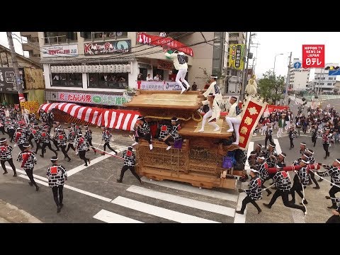 Danjiri Kishiwada festival