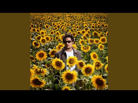 Papillons (feat. Nochka)