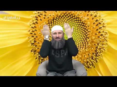 Da li hidžab mora da pokrije bradu? - Elvedin Pezić