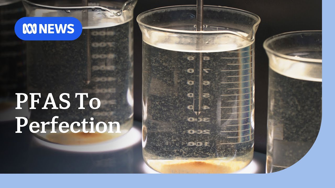 PFAS to perfection: How this town's tap water became Australia's best drop | ABC NEWS